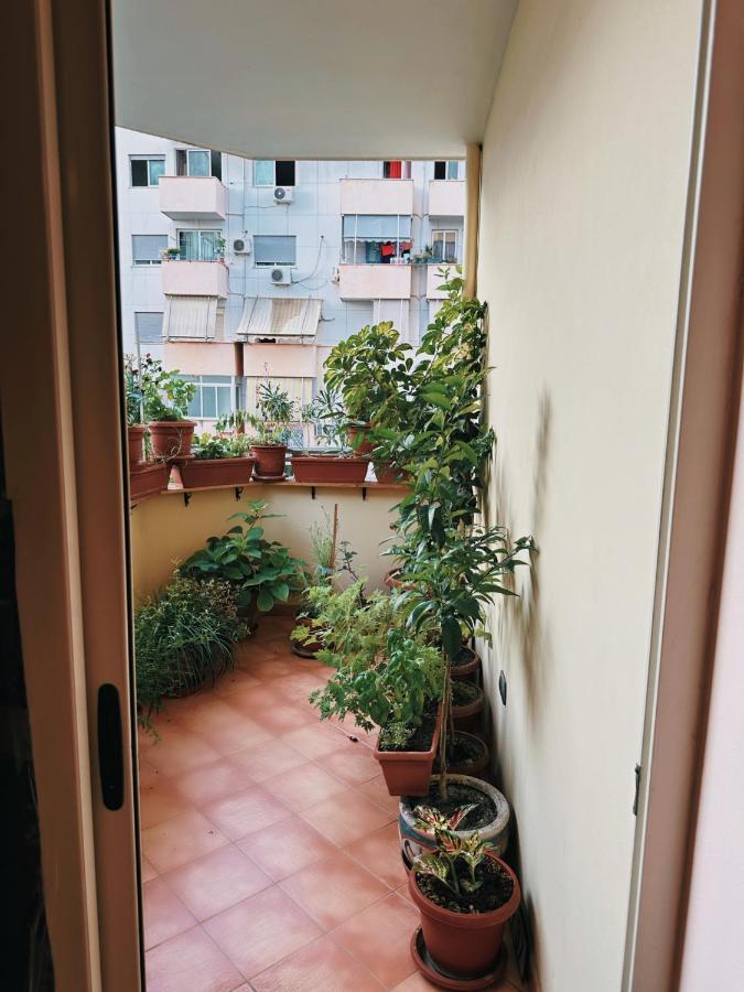Bed & Breakfast Mina 地拉那 外观 照片